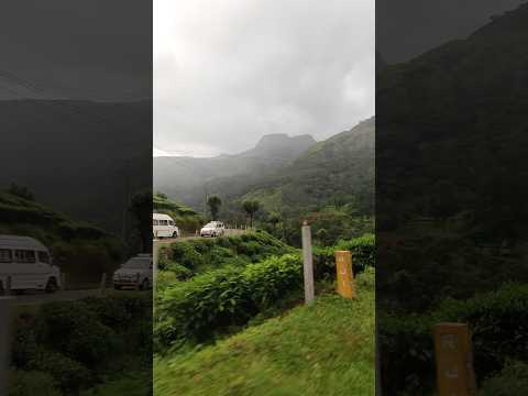 Munnar: The Most Beautiful Place on Earth