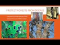 Forest Management and Biodiversity Concepts