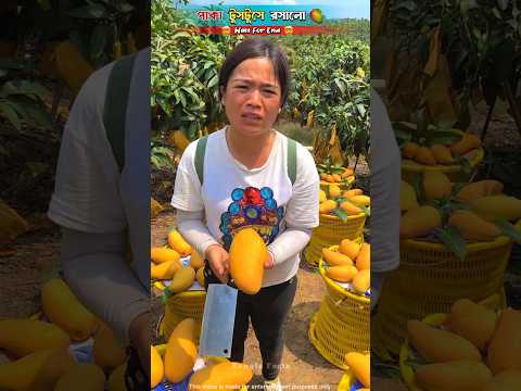 পাকা টুসটুসে রসালো আম 🥭| #shorts