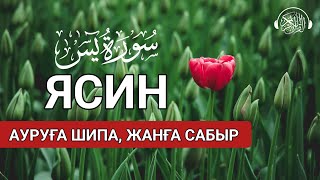 🔊❤Ясин сүресі, Ауруға Шипа, Жанға Сабыр! Quran Suresi
