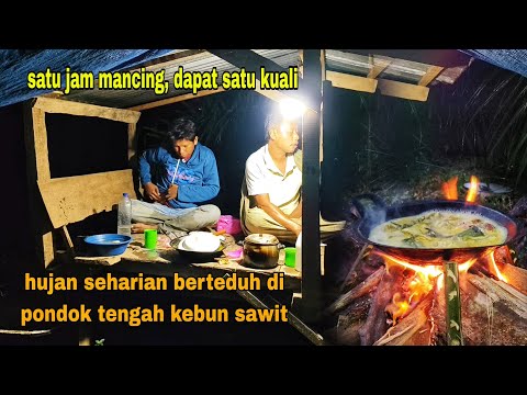 WAKTU YANG TEPAT UNTUK MANCING|| HUJAN DERAS DI MUSIM KEMARAU, BERLINDUNG DI PONDOK KEBUN SAWIT