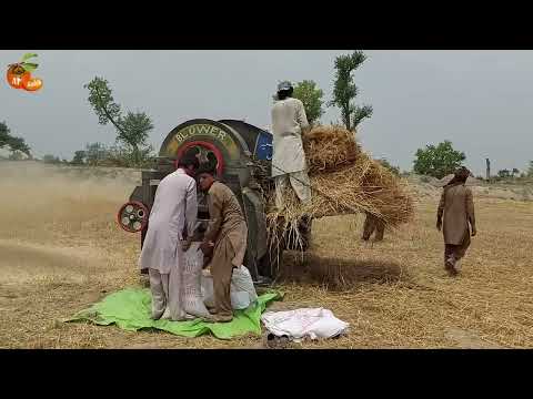 NH Dabung 85 HP Tractor Thresher Video | How Does Thresher Work