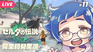 【🔵#ゼルダの伝説 ティアーズ オブ ザ キングダム #11】ゾーラの里が水質汚染でピンチ！？Switch 2 Editionです【夜更坂し