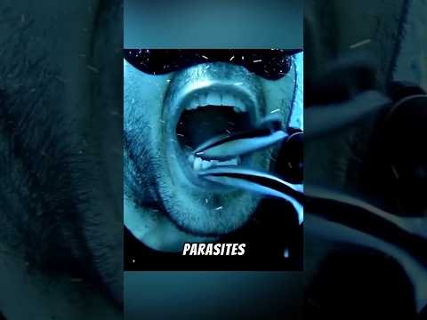 Cleaner Fish Is Fascinating