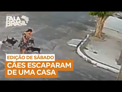 Agente de saúde é cercada e atacada por cães em Feira de Santana (BA)