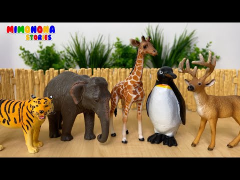 Animales para niños 🦁🐼 Pingüino Oryx Okapi Armadillo Jaguar y mas ✨ Mimonona Stories