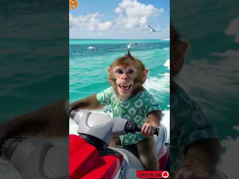 “Happiest Monkey on the Water! 🌊🐵”