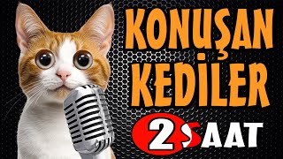 Konuşan Kediler Bayram Özel - En Komik Kedi Videoları