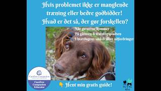 Gratis guide 1. Lille Professor Pote