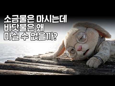 바닷물을 식수로 바꾼 기적의 기술 l 레비의 하루 EP.1