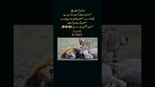 ابا اٹھ پاکستان چلیے عمران خان گرفتار ہو گیا جےنئ پتر اے مینوں  #ytshorts