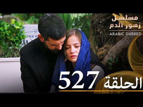 الحلقة 527 | مسلسل زهور الدم | مدبلج بالعربية | Kan Çiçekleri