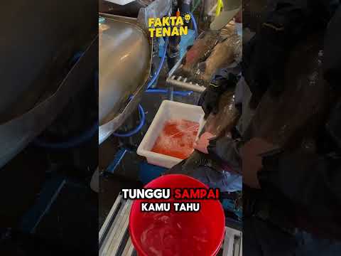 Jangan Makan Dulu! Fakta Telur Salmon Ini Bikin Mual!