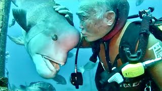 Man and Beast - Part 56 - Great Animal Compilations