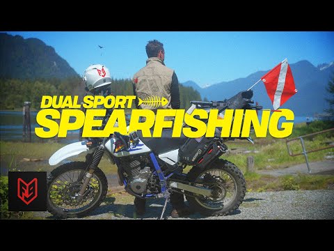 Dual Sports, Spearfishing, and Fish Tacos | #45 Adventures