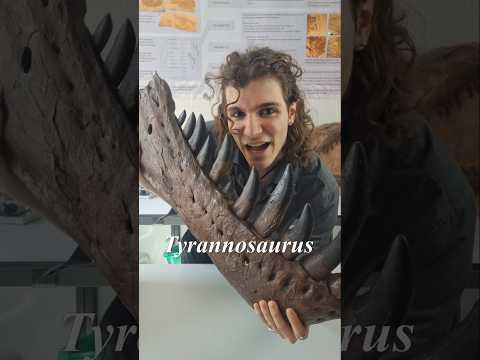 ¿Cómo sabemos qué comían los Dinosaurios? #dinosaurios #curiosidades  #jurassicworld #paleontologia