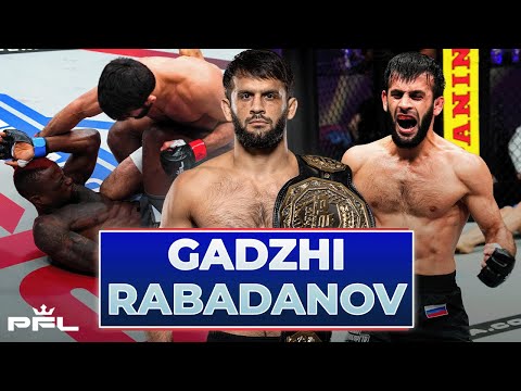 Gadzhi Rabadanov 🦅 Гаджи Рабаданов | Every Win In Bellator & PFL | 24/7 Live Stream