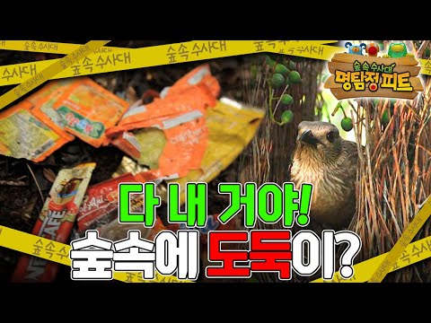 없어진 물건들의 공통점은? 수상한 도둑들의 정체 대공개!｜명탐정 피트｜키즈｜[EBS놀이터]