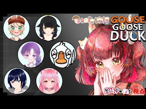 thumbnail_JdRWyFlXmhM
