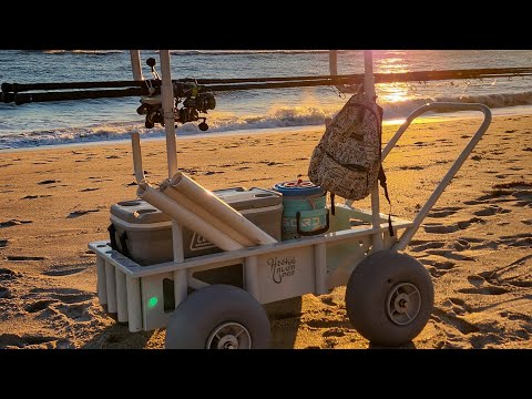 Time to Fish the Beach for Pompano and Whiting