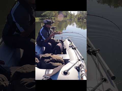 СОМ клюнул!!! Big CATFISH bite!!