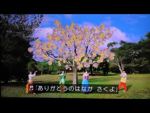 ありがとうの花 外ロケMV まやお姉さんゆういちろうお兄さん おかあさんといっしょ