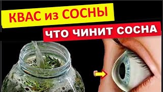 КВАС из СОСНЫ , исцелит вас , остановит старение , продлит жизнь
