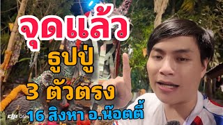 จุดแล้ว!! เลขธูปปู่ 3 ตัว อ.น๊อตตี้ 16 สิงหาคม 2568