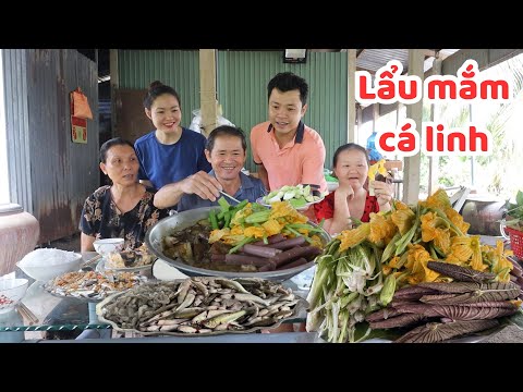 LẨU MẮM CÁ LINH, Hái Bông Bí, Tê Tượng, Bông Súng, Lá Hẹ Nhúng Ăn Còn Gì Bằng 