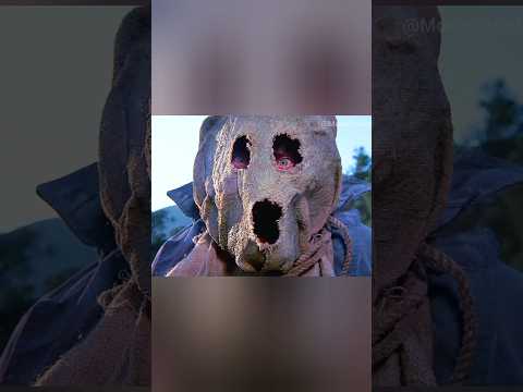 He Pretended to Be a Scarecrow #viral #shorts