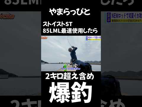 最新エギングロッド【ストイストST85LML】最速で使ったら2キロ超え含め爆釣過ぎた、ヤマラッピとの釣行がえぐい　#エギング