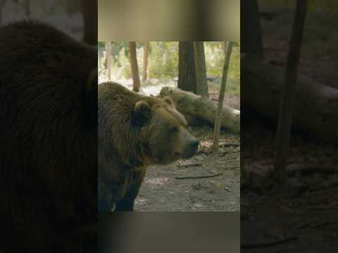 Because it's Mom #movie #shorts #workingmom