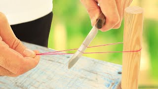 5 Mẹo Vặt Thú Vị Làm Bạn Ngạc Nhiên