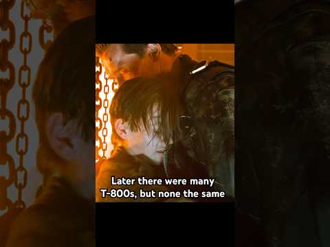 Later there were many T-800s, but none the same#terminator #film #shorts #shortvideo #series