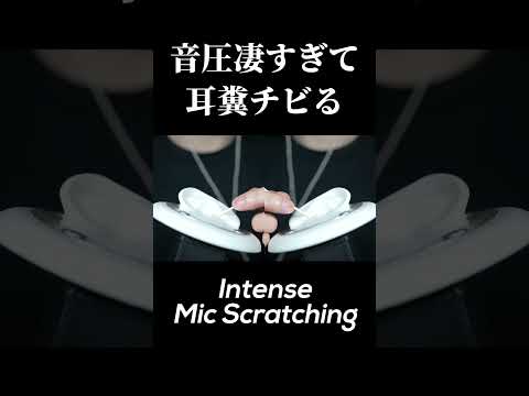 ASMR ゾワゾワ受容体を目覚めさせる耳かき Intense Mic Scratching (No Talking)