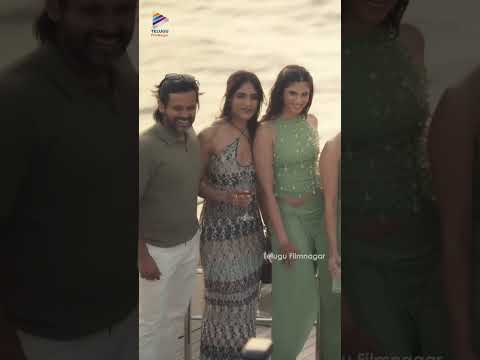 ఫ్రెండ్స్, ఫ్యామిలీతో కలిసి ప్రీ-వెడ్డింగ్ సెలబ్రేషన్స్ చేసుకున్న #AlluSirish, #Nayanika #AlluArjun