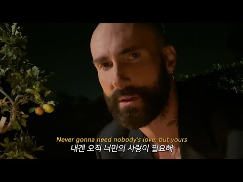 새 히트곡 예감 ⚡️ [신곡] Maroon 5 - Nobody's Love [가사해석/번역]