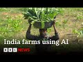 AI and Technology in Indian Agriculture