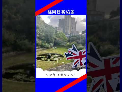 福岡日英協会 ワンクがイギリスへ 2025
