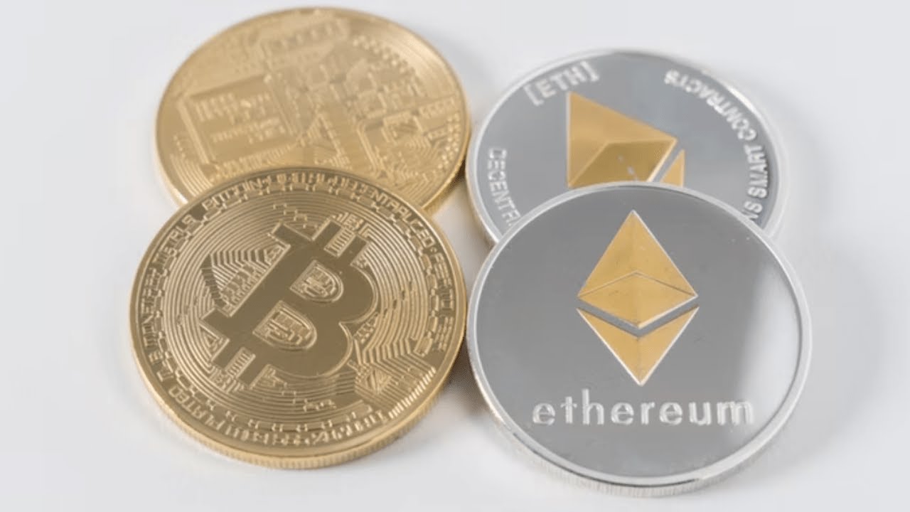 max wright bitcoin expert
