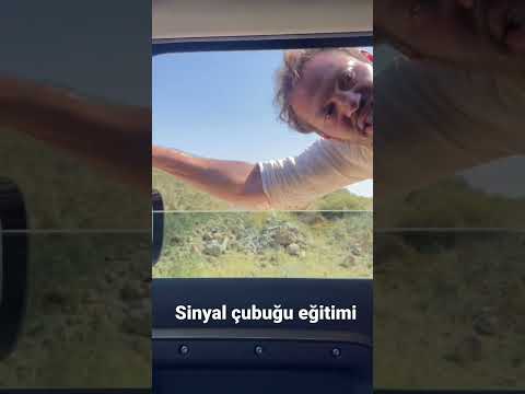 Sinyal çubuğu eğitimi 😉