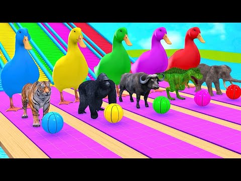 Cow Elephant Tiger Gorilla Hippo 3d Animal Crossing Paint Fountain on Long Slide Funny Cage Game