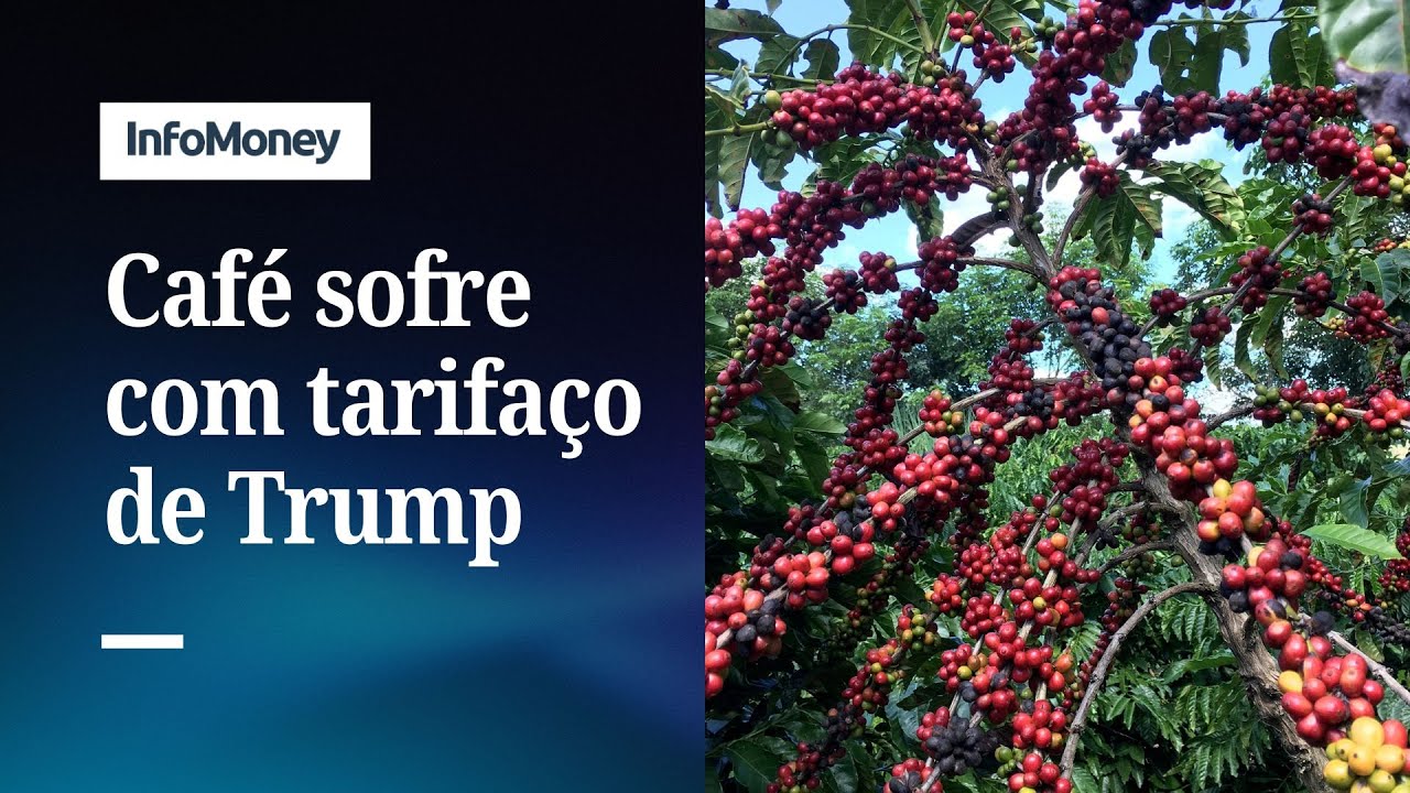 Preços de café em alta taxa extra e estoque menor os efeitos do tarifaço nos EUA | InfoMoney News  TV Online Preços de café em alta taxa extra e estoque menor os efeitos do tarifaço nos EUA | InfoMoney News