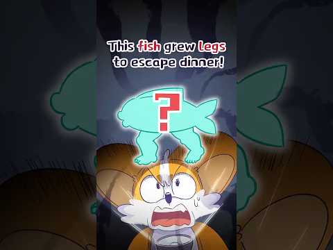 🐠This Fish Grew Legs to Escape Dinner❗️#shorts #trivia #comedy