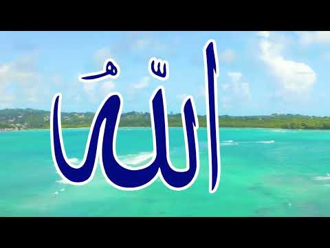 اهدأ يا قلب ورفقًا.. أنشودة أسماء الله الحسنى راحة للقلب والروح