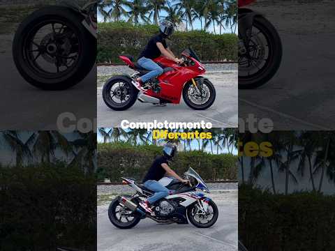 Ducati Panigale V4 o Bmw S1000RR? #motos #superbikes #bmws1000rr #panigalev4