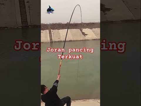 Mata pancing, Test kekuatan Joran pancing,#fishing