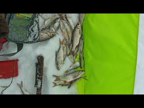 Онлай Рыбалка С Праздником