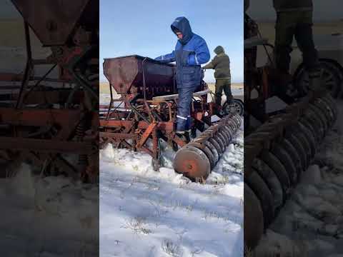 (господа работники)