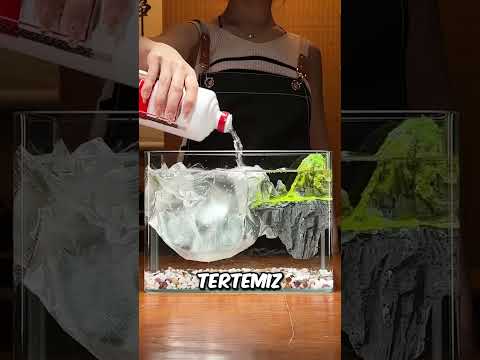 Bu Kız Akvaryumu Baştan Yarattı! 🐠🌊